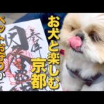 【シーズー】お犬と楽しむ京都！ペットお守りがたくさんあるお寺（＆ おじいちゃんちへオトンの手料理持参で訪問 www）【326】