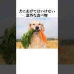 犬にあげてはいけない意外な食べ物#犬 #ペット #雑学