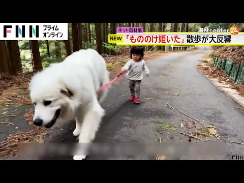 まるで「もののけ姫」？　超大型犬と1歳女児の“お散歩映像”　再生回数が1700万回超