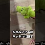 愛犬が寝てる間に嫌いなおもちゃに変えたら目が飛び出た！ #shorts