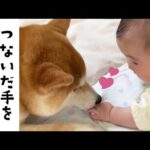 ちょっと手を離してみたら…♡｜PECO