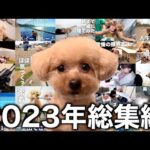 【2023年総集編】各動画のリプレイ回数が多かったシーン集！