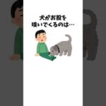 犬の嗅覚が桁違いでやばいｗ　#犬 #ペット #雑学