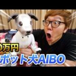 【30万円】我が家に犬がやってきた！【AIBO】