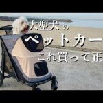 大型犬用ペットカート買って大満足したのでレビューします