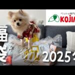 【2025年犬福袋】ペットのコジマの犬福袋がお得すぎました